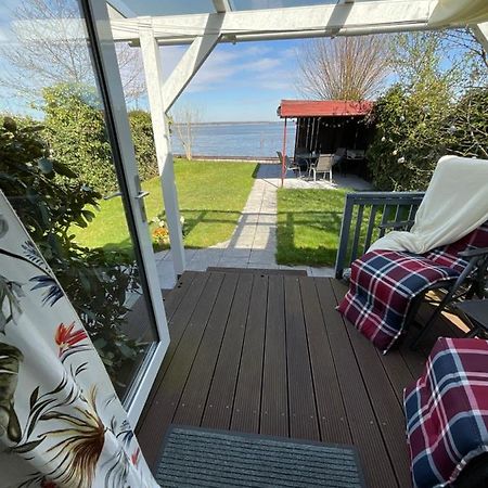 Ferienhaus Am Weidenbaum Villa Wunstorf Dış mekan fotoğraf