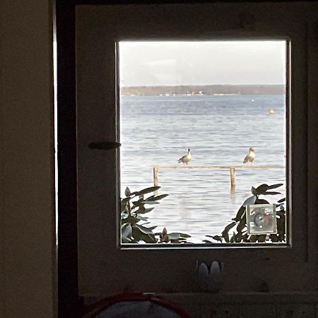 Ferienhaus Am Weidenbaum Villa Wunstorf Dış mekan fotoğraf